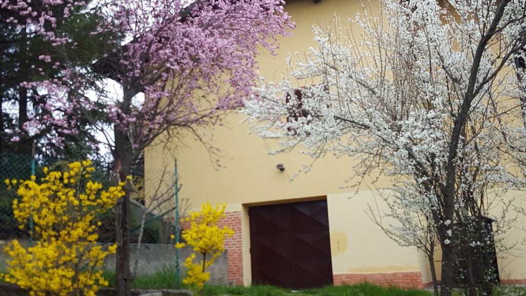 Allevamento B&B Pozzol Groppo Exterior photo